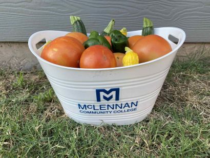 A white basket filled with fresh vegetables and tomatoes, featuring the McLennan Community College logo.