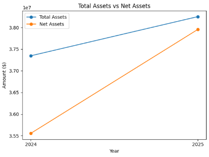 Line chart comparing total assets and net assets for 2024–2025, showing both increasing and net assets narrowing the gap with total assets.