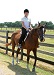 Lady sitting on horse