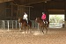 Two women riding two horses