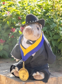 Pichi - The Pi Chi Mascot