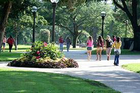 Several Individuals Walking on Campus