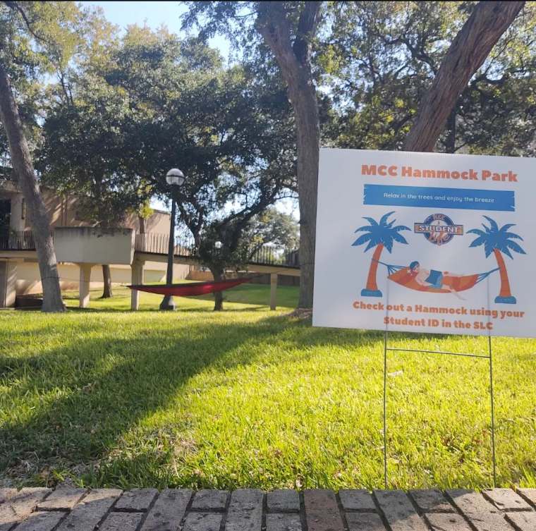 hammock park