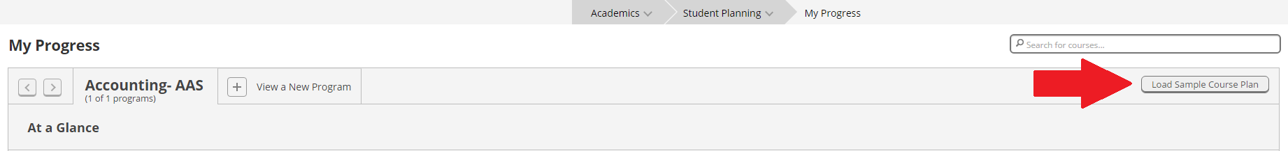 Sample Course Plan