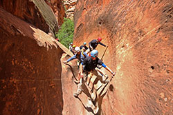 Students climbing