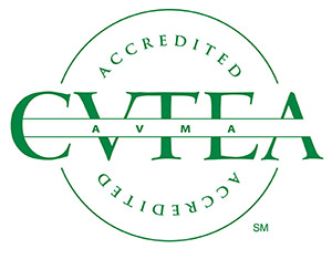 CVTEA